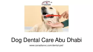 dog dental care abu dhabi
