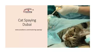 cat spaying dubai