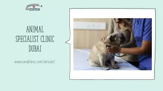 animal specialist clinic dubai