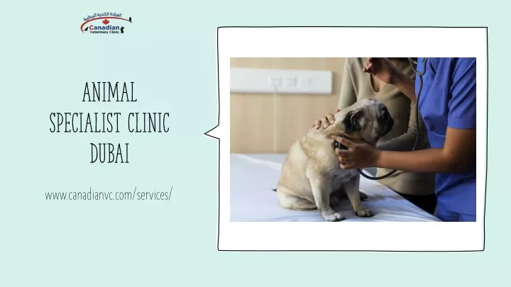 animal specialist clinic dubai