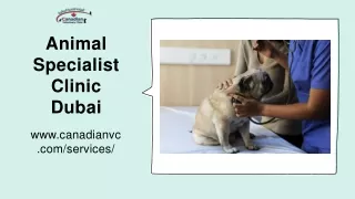 animal specialist clinic dubai