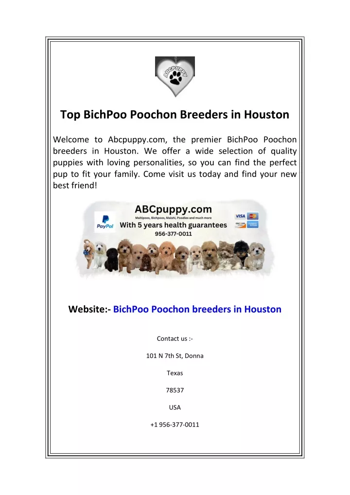 top bichpoo poochon breeders in houston