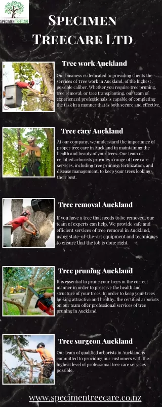 Enhance Tree Health and Appearance with Tree Pruning in Auckland