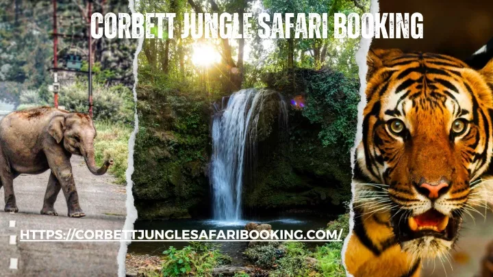 corbett jungle safari booking