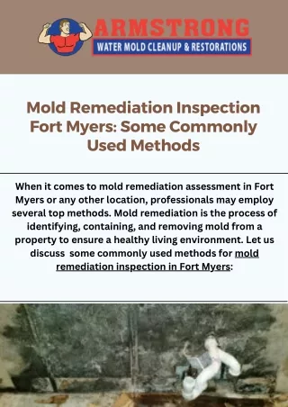 Comprehensive Mold Remediation Inspection in Fort Myers | Expert Solutions