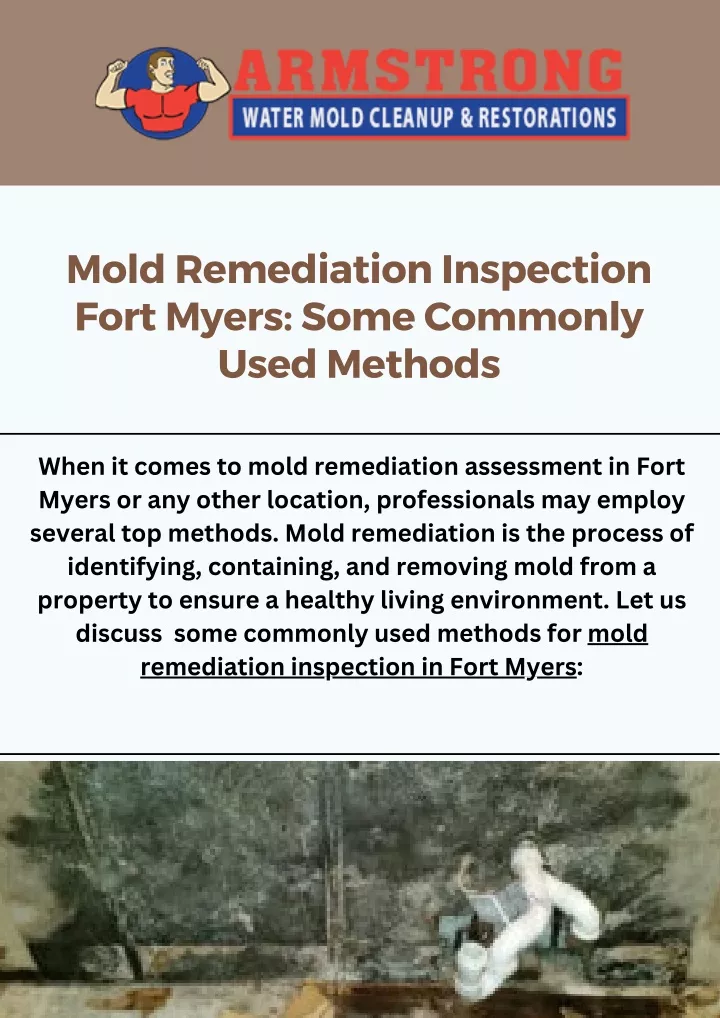 mold remediation inspection fort myers some