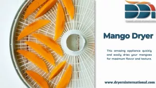 Mango Dryer