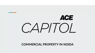 COMMERCIAL PROPERTY IN NOIDA - ACE CAPITOL