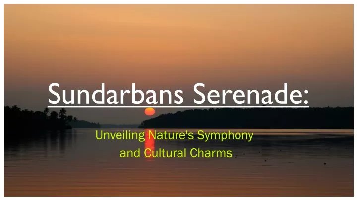 sundarbans serenade