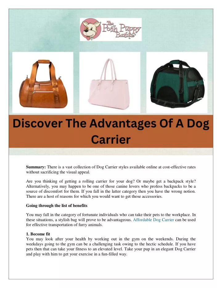 summary there is a vast collection of dog carrier