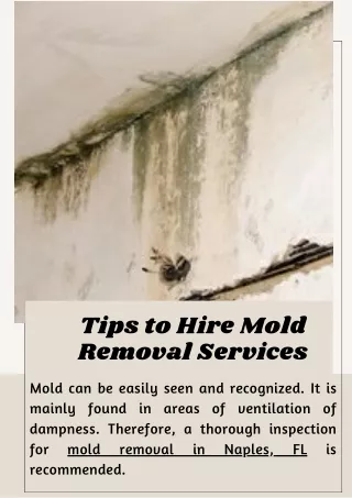 Tips to Hire Mold Removal Services!