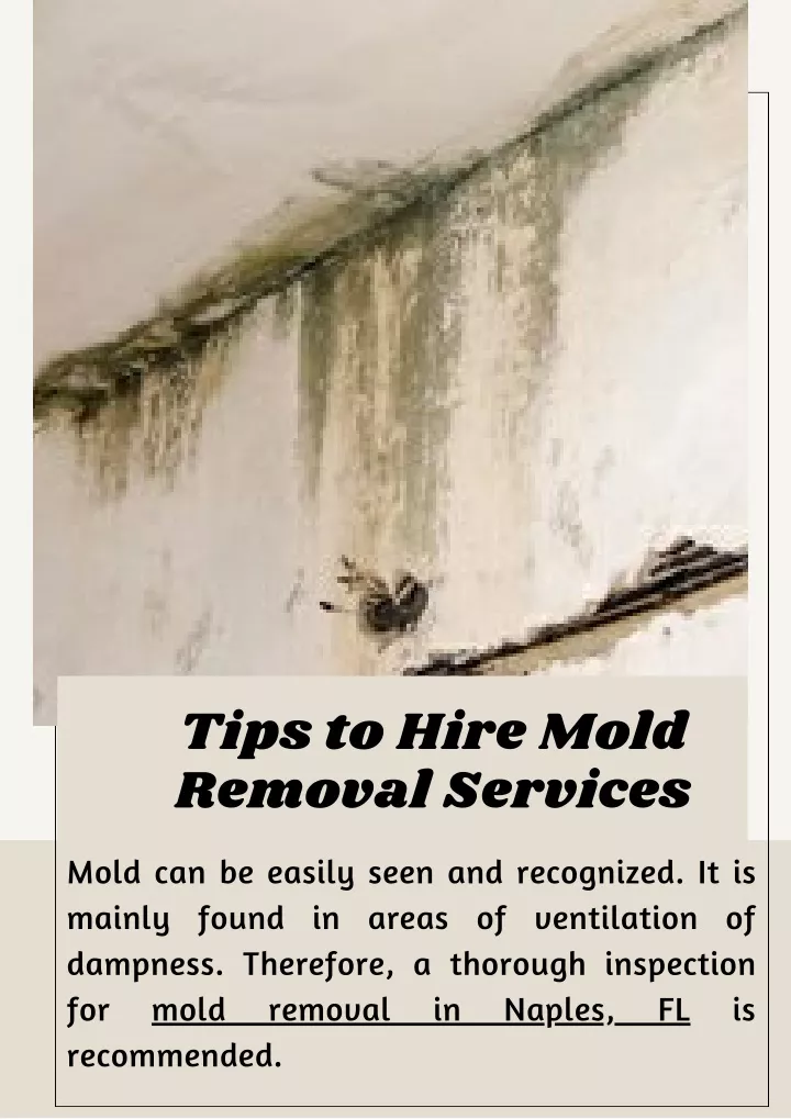tips to hire mold removal services