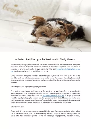 A Perfect Pet Photography Session with Cindy Moleski