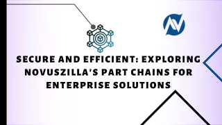 Secure and Efficient Exploring Novuszilla's Part Chains for Enterprise Solutions