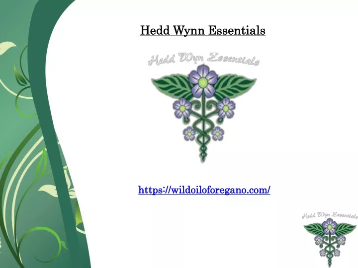 hedd wynn essentials