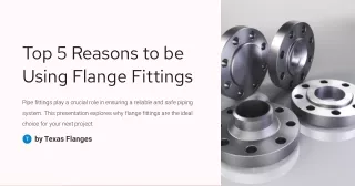 Top 5 Reasons to be Using Flange Fittings