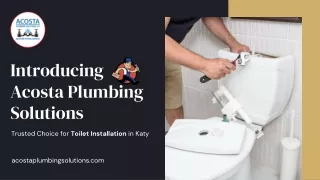 Acosta Plumbing Solutions - Trusted Choice for Toilet Installation