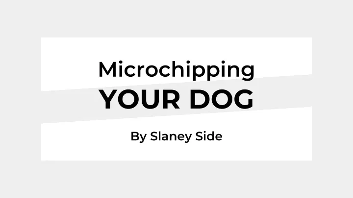 microchipping your dog
