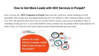 How to Get More Leads with SEO Services in Punjab