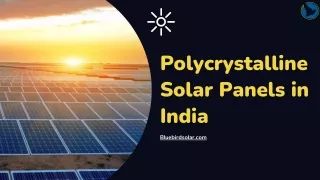 Polycrystalline Solar Panels in India - Bluebirdsolar.com