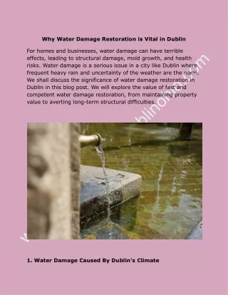 Why Water Damage Restoration is Vital in Dublin