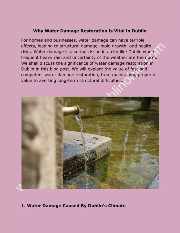 why water damage restoration is vital in dublin