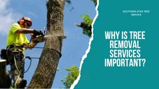southern star tree service