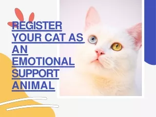 Registering Your Cat as an Emotional Support Animal