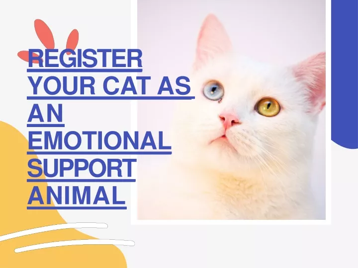register your cat as an emotional support animal