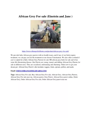 African Grey For sale