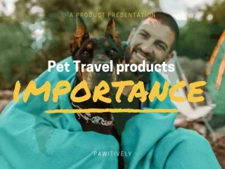 Pet Travel products importance