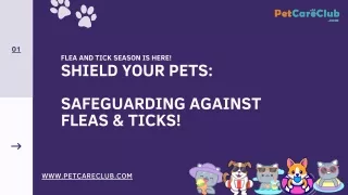 Be prepared to keep your pet safe- the Flea and Tick season is here!