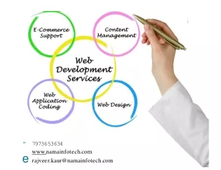 Web Development Services provider  Nama Infotech  Mohali