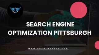 Search Engine Optimization Pittsburgh | Shane Web Guy