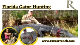 Florida gator hunting: Conquering the Wild Adventures