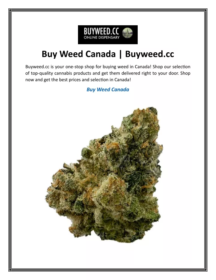 buy weed canada buyweed cc