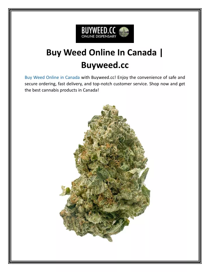 buy weed online in canada buyweed cc