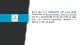B  Mushroom Grow Kit Canada Shroombox.co