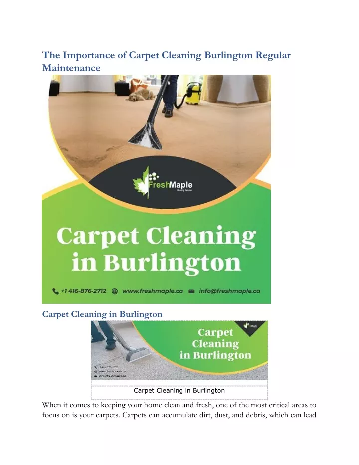the importance of carpet cleaning burlington