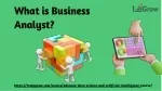 what is business analyst - slide 1