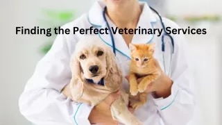 Finding the Perfect Veterinary Services