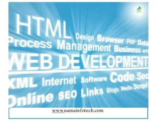 Want the best Web Development Services  Nama Infotech  Mohali
