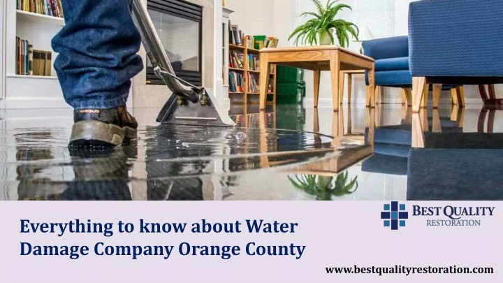 everything to know about water damage company