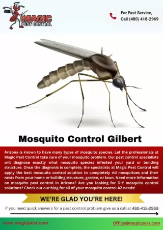 Mosquito Control Gilbert | Exterminator queen creek az