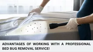 advantages of working with a professional