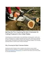 Igniting the Fire_ Exploring the best Chainsaws for Cutting Firewood in the United States - slide 1