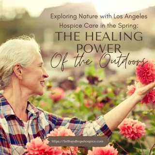 Exploring Nature with Los Angeles Hospice Care in the Spring: The Healing Power