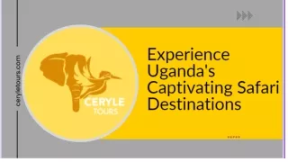 Experience Uganda's Captivating Safari Destinations