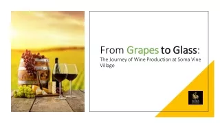 From Grapesto Glass:  The Journey of Wine Production at Soma Vine  Village