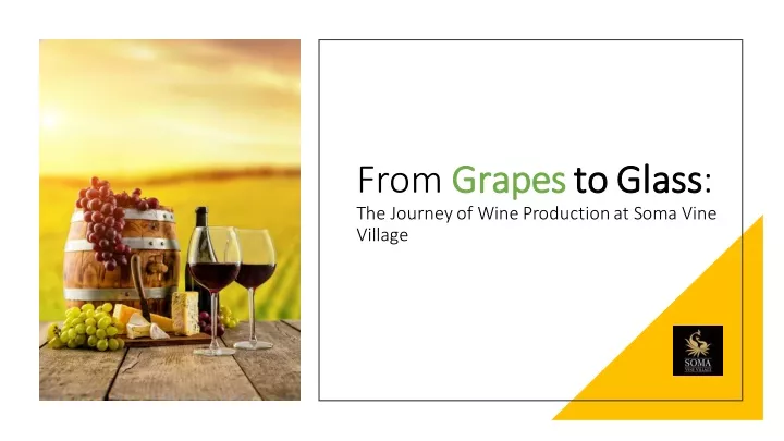 from grapes grapesto glass the journey of wine